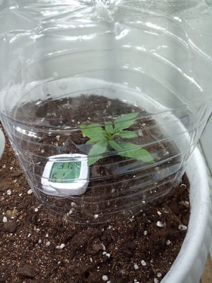 1653146173029.png 1653146173029.png