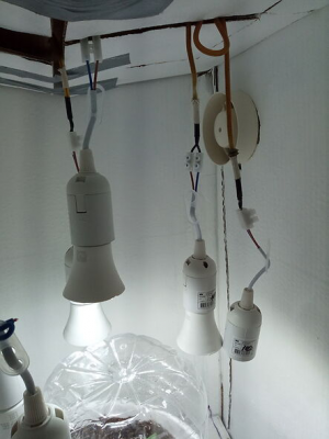 1653147735843.png 1653147735843.png