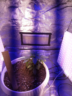 1653150125768.png 1653150125768.png