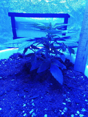 1653150227564.png 1653150227564.png