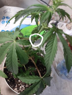 20220522_115632.jpg 20220522_115632.jpg