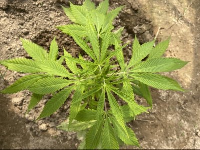 Малая22.05.22.jpeg Малая22.05.22.jpeg