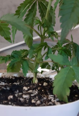 20220522_115023.jpg 20220522_115023.jpg