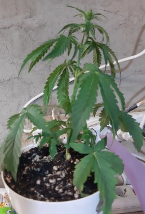 20220522_115458.jpg 20220522_115458.jpg