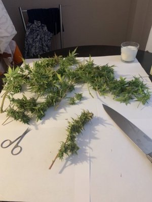 0054D77A-6329-4A64-A5AA-56E6BC9C6074.jpeg 0054D77A-6329-4A64-A5AA-56E6BC9C6074.jpeg