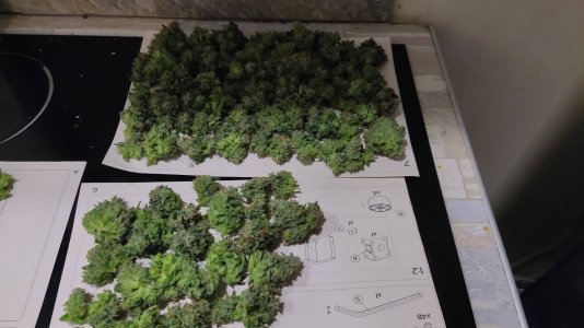 IMG_20220523_112822.jpg IMG_20220523_112822.jpg