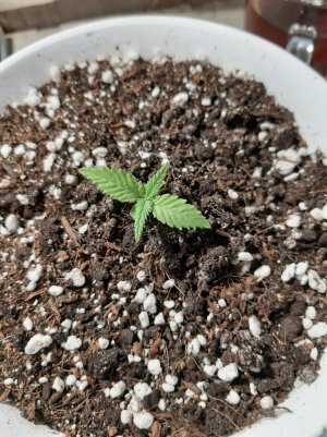 20220524_122734.jpg 20220524_122734.jpg