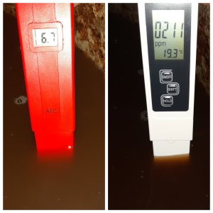 Торф.субстрат после доп.кисления торфом.jpg Торф.субстрат после доп.кисления торфом.jpg