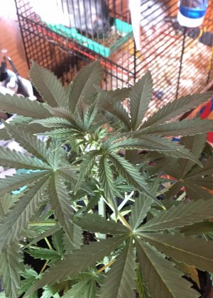 4B75C8A8-E228-4BA9-8D4A-9D4B5D561C57.jpg 4B75C8A8-E228-4BA9-8D4A-9D4B5D561C57.jpg