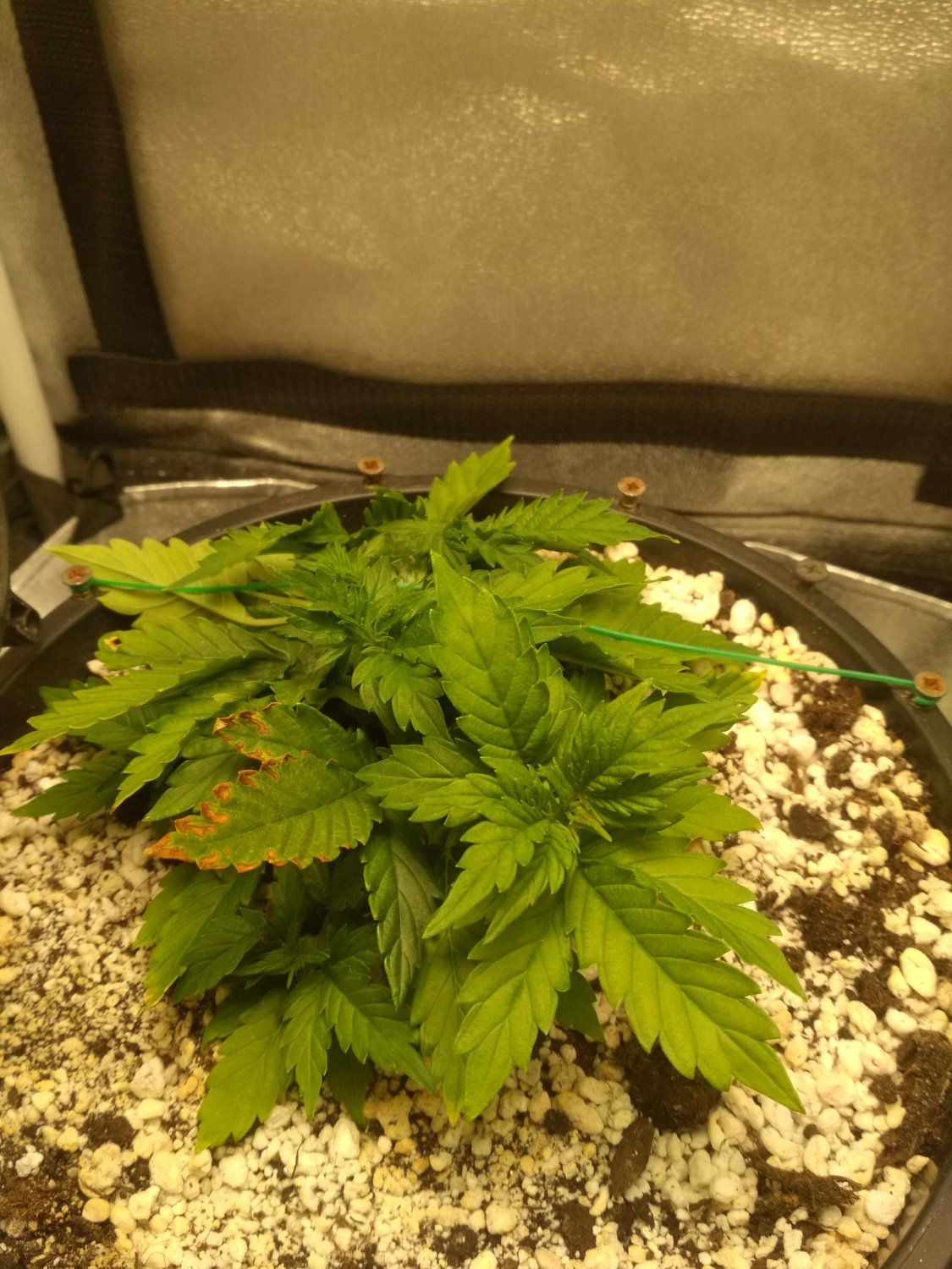 IMG_20220529_233740.jpg IMG_20220529_233740.jpg