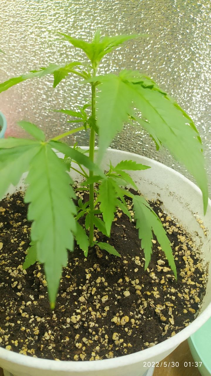 photo_2022-05-30_01-47-56 (2).jpg