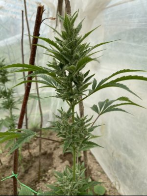 30.05.22 4.jpeg 30.05.22 4.jpeg