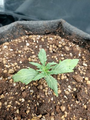 WhatsApp Image 2022-05-31 at 07.58.53.jpeg WhatsApp Image 2022-05-31 at 07.58.53.jpeg