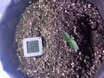 0172CBB5-BA4D-48F2-BD59-D7DA713D0AA6.jpeg 0172CBB5-BA4D-48F2-BD59-D7DA713D0AA6.jpeg