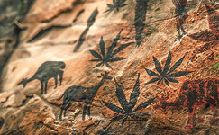 Kratkaya-istoriya-marihuany-v-Afrike__PWFlNESUy6A6fIST.jpg Kratkaya-istoriya-marihuany-v-Afrike__PWFlNESUy6A6fIST.jpg