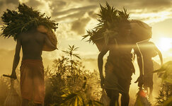 Problemy,-svyazannye-s-legalizaciej__3XFtYCGaEW8bv6FJ.jpg Problemy,-svyazannye-s-legalizaciej__3XFtYCGaEW8bv6FJ.jpg