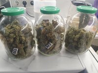 20260102_154400.jpg 20260102_154400.jpg