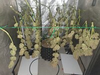 20251229_185059.jpg 20251229_185059.jpg