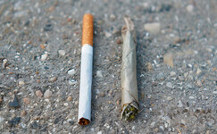 nikotin-i-tgk-populyarnoe-sochetanie__KHvFGefiTK14Wcgs.jpg nikotin-i-tgk-populyarnoe-sochetanie__KHvFGefiTK14Wcgs.jpg