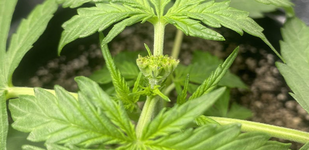 1767711217668.png 1767711217668.png