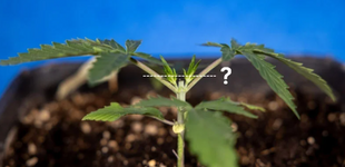 1767711289959.png 1767711289959.png