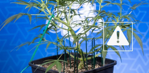 1767711320789.png 1767711320789.png