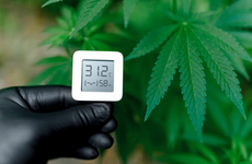 1767804489094.png 1767804489094.png