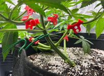 1767804523709.png 1767804523709.png