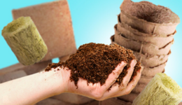 1768216793113.png 1768216793113.png