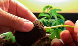 1768216798166.png 1768216798166.png