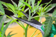 1768216807074.png 1768216807074.png