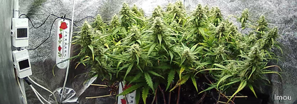 1768217991709.png 1768217991709.png