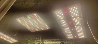 IMG_20260114_154413.jpg IMG_20260114_154413.jpg