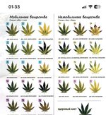 IMG_3559.jpeg IMG_3559.jpeg