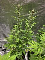 20260118_102304.jpg 20260118_102304.jpg