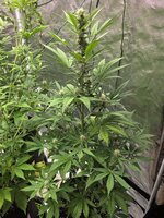 20260118_102325.jpg 20260118_102325.jpg