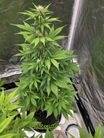 20260118_102350.jpg 20260118_102350.jpg