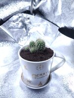 IMG_20260122_182308.jpg IMG_20260122_182308.jpg