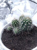 IMG_20260122_182319.jpg IMG_20260122_182319.jpg