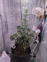 PXL_20260127_075749042.jpg PXL_20260127_075749042.jpg