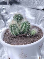 IMG_20260128_222646.jpg IMG_20260128_222646.jpg