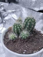 IMG_20260128_222702.jpg IMG_20260128_222702.jpg