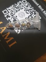 20260203_190410.jpg 20260203_190410.jpg