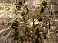 photo_2026-02-08_01-36-19 (3).jpg