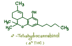 1770570502226.png 1770570502226.png