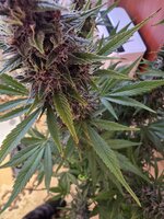 20260209_125857.jpg 20260209_125857.jpg