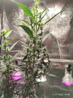 IMG_20260211_145808.jpg IMG_20260211_145808.jpg