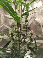 IMG_20260211_145817.jpg IMG_20260211_145817.jpg