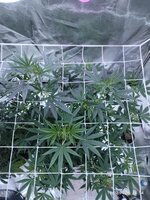 IMG_20260211_145412.jpg IMG_20260211_145412.jpg