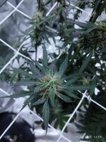 IMG_20260211_145518.jpg IMG_20260211_145518.jpg